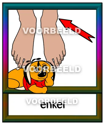 Enkel