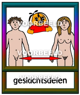 Geslachtsdelen