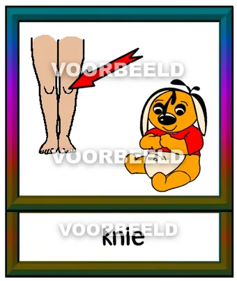 Knie