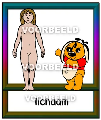 Lichaam