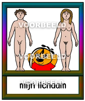 Mijn lichaam
