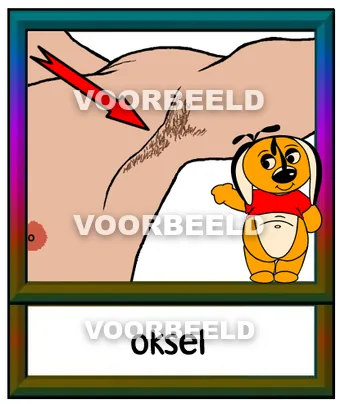 Oksel