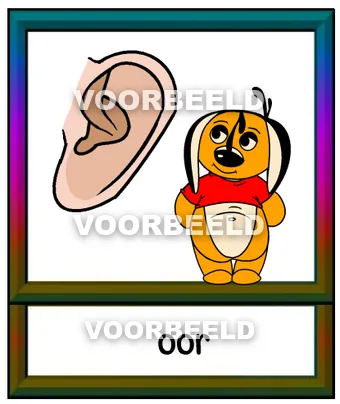 Oor