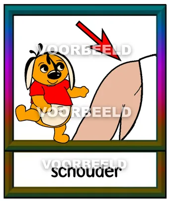 Schouder