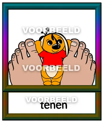 Tenen