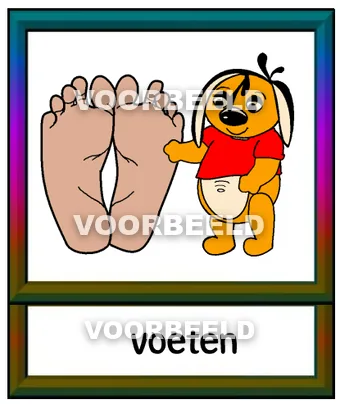 Voeten