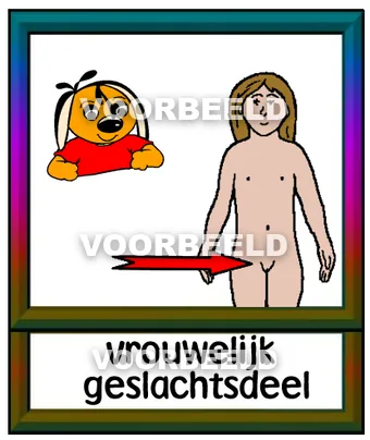 Vrouwelijk geslachtsdeel