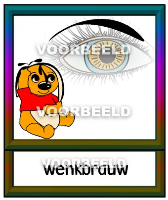 Wenkbrauw