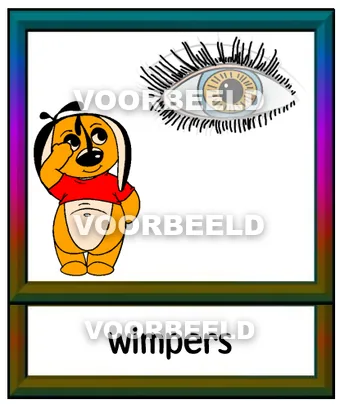 Wimpers