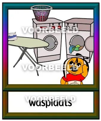 Wasplaats