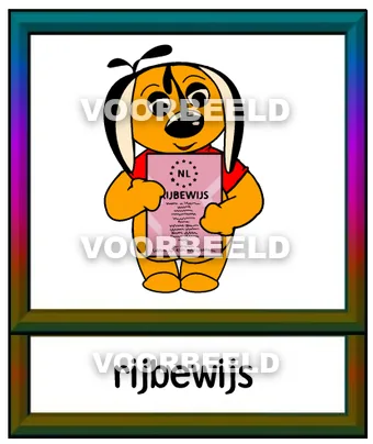Rijbewijs1