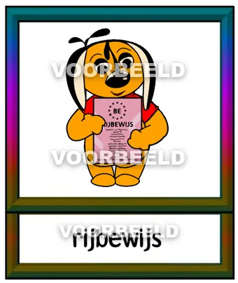 Rijbewijs2