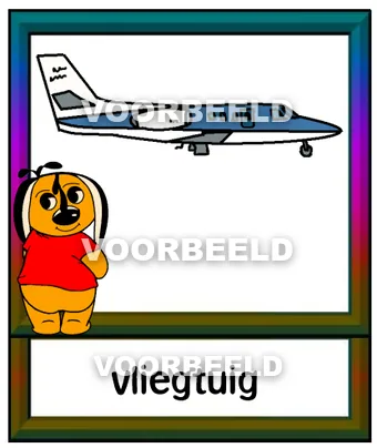 Vliegtuig