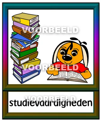 Studievaardigheden