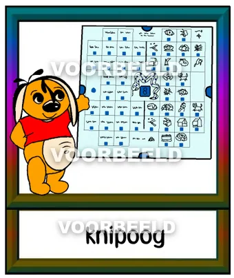 Knipoog