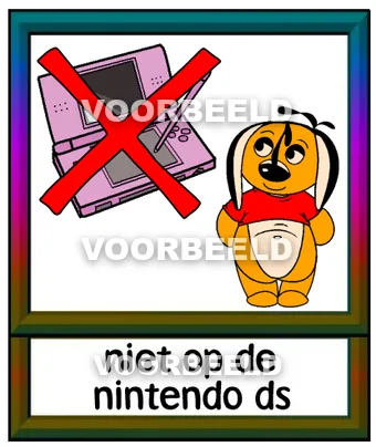 Niet op de nintendo DS