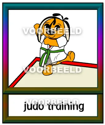 Judo training