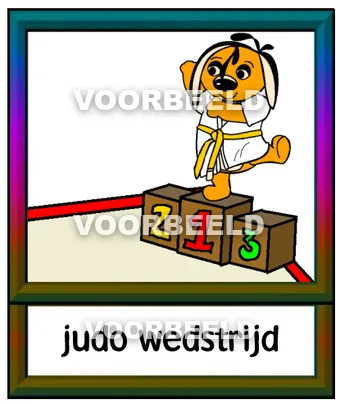 Judo wedstrijd