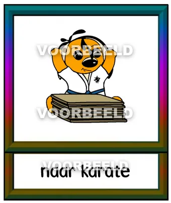 Naar karate