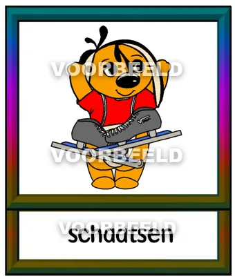 Schaatsen