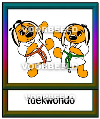 Taekwondo