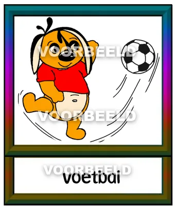 Voetbal