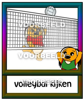Volleybal kijken