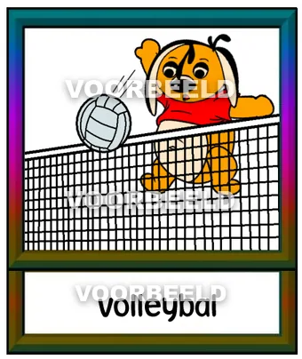 Volleybal