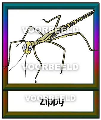 Zippy