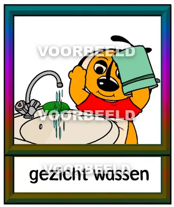 Gezicht wassen
