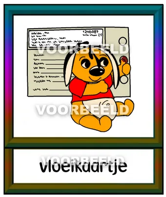 Vloeikaartje