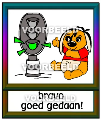 Bravo goed gedaan