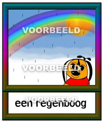 Een regenboog