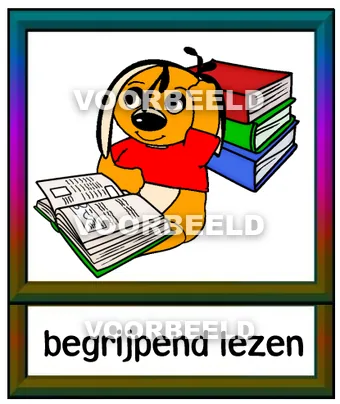 Begrijpend lezen