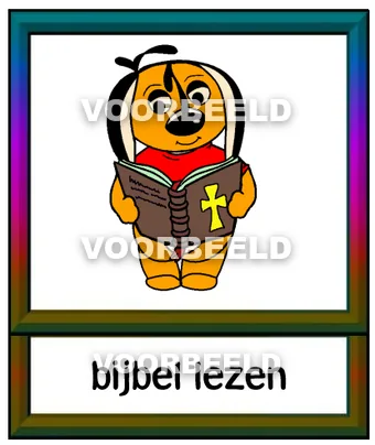 Bijbel lezen