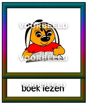 Boek lezen