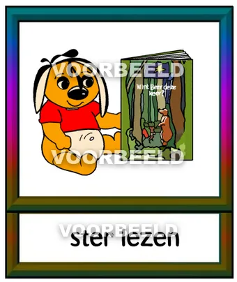 Ster lezen