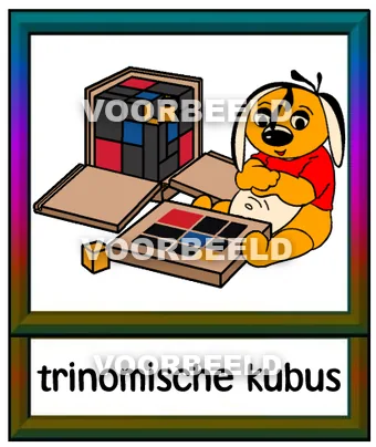 Trinomische kubus