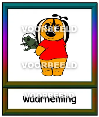 Waarneming