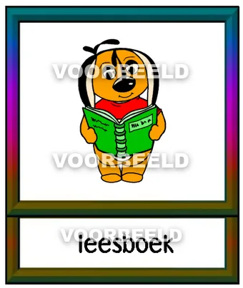 Leesboek