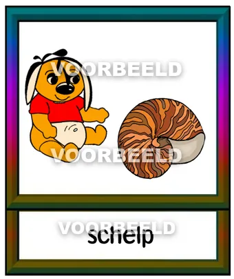 Schelp