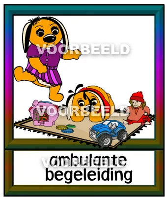 Ambulante begeleiding