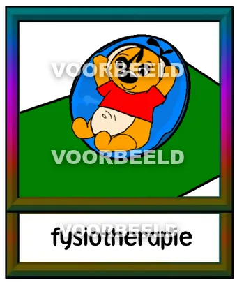 Fysiotherapie