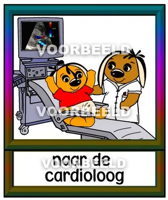 Naar de cardioloog