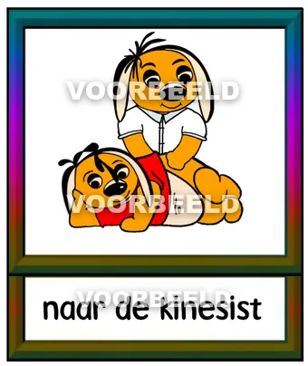 Naar de kinesist