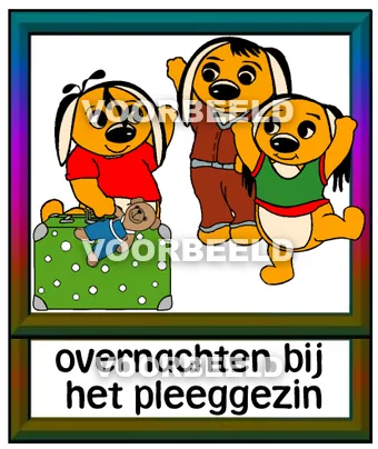 Overnachten bij het pleeggezin